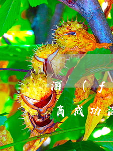 浦發(fā)信用卡逾期口頭協(xié)商成功(浦發(fā)銀行協(xié)商后逾期,銀行要我一次性還款)