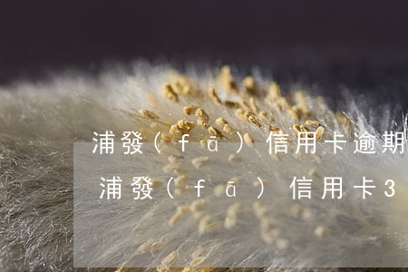 浦發(fā)信用卡逾期只還一個最低還款(浦發(fā)信用卡30000還最低還款)
