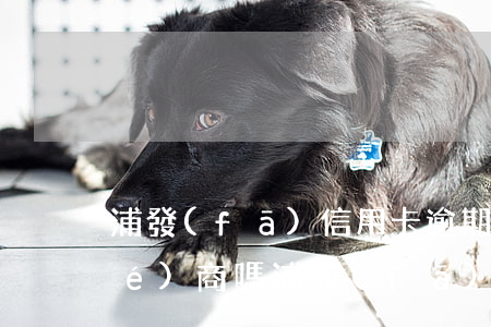 浦發(fā)信用卡逾期可以二次協(xié)商嗎(浦發(fā)銀行協(xié)商后逾期,銀行要我一次性還款)