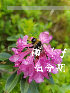 浦發(fā)信用卡逾期可以個(gè)性化分期嗎(個(gè)性化分期一定要逾期后才能辦理嗎)