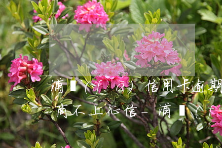 浦發(fā)信用卡逾期可以協(xié)商不上征信-浦發(fā)信用卡逾期可以協(xié)商不上征信嗎