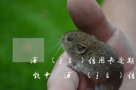 浦發(fā)信用卡逾期可以寬恕嗎(有逾期能申請浦發(fā)信用卡)