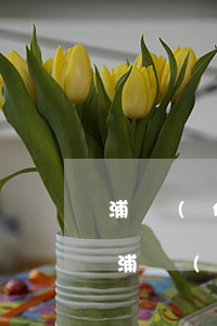 浦發(fā)信用卡逾期可以減免本金嗎-浦發(fā)銀行信用卡 免息期