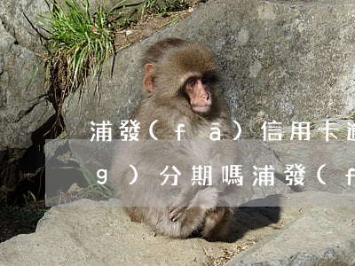 浦發(fā)信用卡逾期可以申請(qǐng)分期嗎(浦發(fā)信用卡逾期可以申請(qǐng)分期嗎)