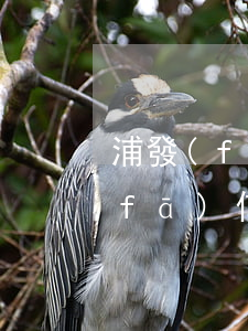 浦發(fā)信用卡逾期可以解封嗎(浦發(fā)信用卡因為逾期被凍結(jié)了能解凍嗎)