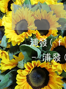 浦發(fā)信用卡逾期可以辦理儲蓄卡嗎-浦發(fā)信用卡逾期可以辦理儲蓄卡嗎