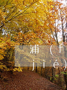 浦發(fā)信用卡逾期可用額度被凍結(jié)了-浦發(fā)信用卡逾期可用額度被凍結(jié)了怎么辦