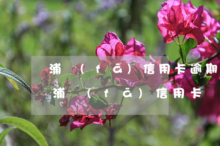 浦發(fā)信用卡逾期可用額度被凍結了 浦發(fā)信用卡 凍結
