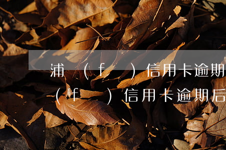 浦發(fā)信用卡逾期后全額還款后(浦發(fā)信用卡逾期后全額還款后)