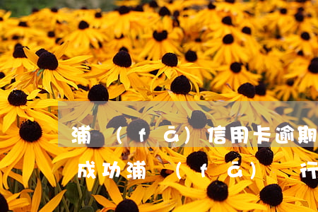 浦發(fā)信用卡逾期后協(xié)商成功(浦發(fā)銀行協(xié)商后逾期,銀行要我一次性還款)
