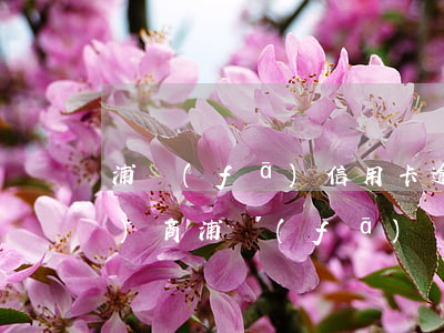 浦發(fā)信用卡逾期后如何協(xié)商(浦發(fā)銀行卡逾期半年了還能協(xié)商分期嗎?)