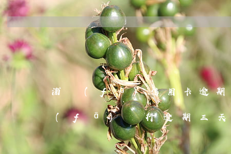 浦發(fā)信用卡逾期后怎么全額還(浦發(fā)銀行逾期三天還了最低之后要求還全額)