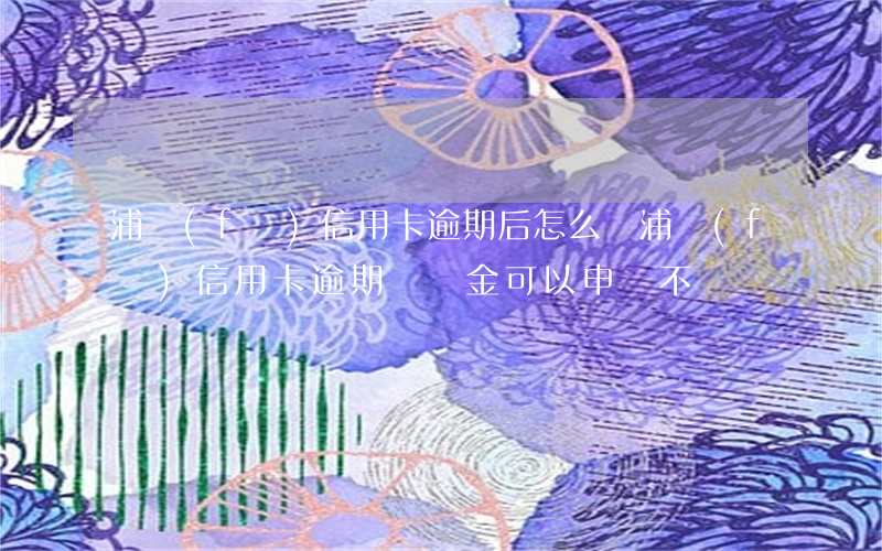 浦發(fā)信用卡逾期后怎么辦(浦發(fā)信用卡逾期違約金可以申請不還嗎)