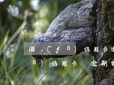 浦發(fā)信用卡逾期后想分期(浦發(fā)信用卡沒逾期也可以做個(gè)性化分期)