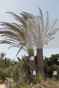 浦發(fā)信用卡逾期后能協(xié)商嗎(浦發(fā)銀行逾期會(huì)影響其他銀行信用卡嗎)