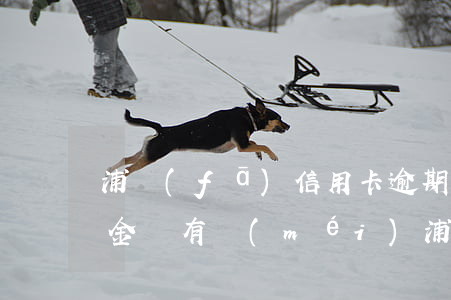 浦發(fā)信用卡逾期后萬(wàn)用金還有沒(méi)(浦發(fā)信用卡逾期后萬(wàn)用金還有沒(méi))