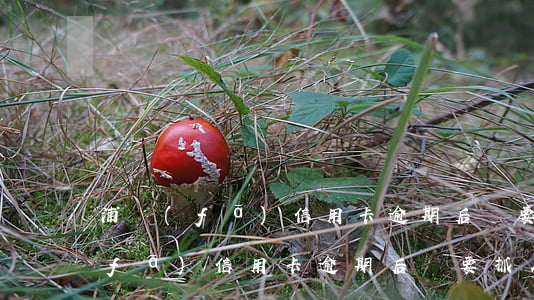 浦發(fā)信用卡逾期后說要抓人(浦發(fā)信用卡逾期后說要抓人)