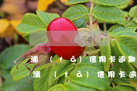 浦發(fā)信用卡逾期后還最低還款嗎-浦發(fā)信用卡逾期后還最低還款嗎會(huì)怎么樣