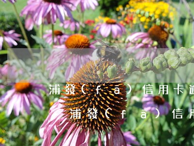 浦發(fā)信用卡逾期后還款還能不能用-浦發(fā)信用卡 逾期
