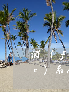 浦發(fā)信用卡逾期四天打聯(lián)系人電話-浦發(fā)信用卡逾期四天打聯(lián)系人電話可以嗎