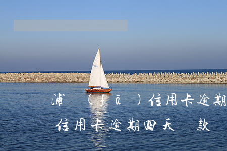 浦發(fā)信用卡逾期四天(浦發(fā)信用卡逾期四天還款會不會有滯納金)