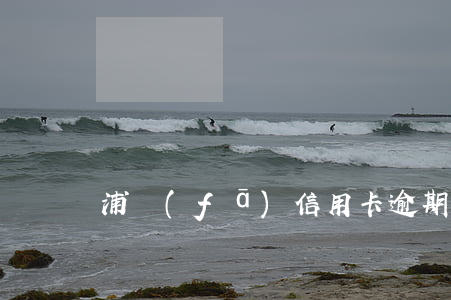 浦發(fā)信用卡逾期四天還最低可以嗎