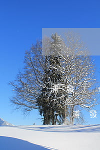 浦發(fā)信用卡逾期困難證明在哪里開-浦發(fā)信用卡逾期困難證明在哪里開具