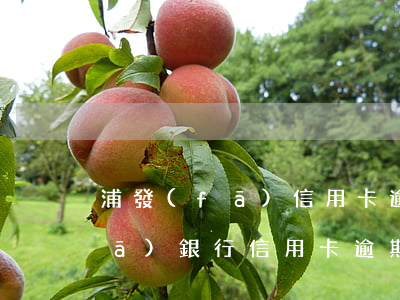 浦發(fā)信用卡逾期在家等著(浦發(fā)銀行信用卡逾期幾天內(nèi)沒事)