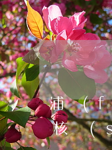 浦發(fā)信用卡逾期外訪(fǎng)核實(shí)(浦發(fā)信用卡回訪(fǎng)電話(huà)是不是申請(qǐng)過(guò)了)