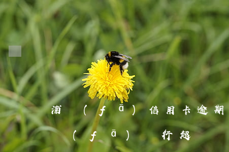 浦發(fā)信用卡逾期多久上征信6-浦發(fā)銀行超過還款日多少天上征信