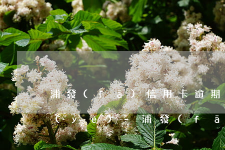浦發(fā)信用卡逾期多久上門約談興業(yè)-浦發(fā)信用卡逾期多久上門約談興業(yè)銀行客服