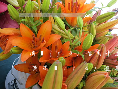 浦發(fā)信用卡逾期多久協(xié)商(浦發(fā)逾期半個(gè)月還是還不上要怎么協(xié)商)