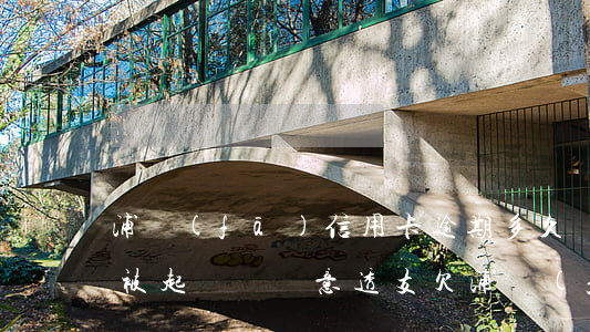 浦發(fā)信用卡逾期多久會(huì)被起訴為惡意透支(欠浦發(fā)信用卡三萬元逾期幾個(gè)月會(huì)被起訴呢)