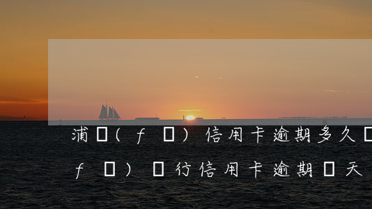 浦發(fā)信用卡逾期多久會上報(浦發(fā)銀行信用卡逾期幾天內(nèi)沒事)