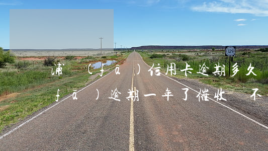 浦發(fā)信用卡逾期多久會催收(浦發(fā)逾期一年了催收說不用還利息了)