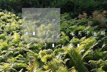 浦發(fā)信用卡逾期多久會凍結(jié)卡嗎-浦發(fā)信用卡逾期多久會凍結(jié)卡嗎安全嗎