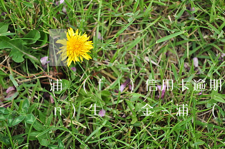 浦發(fā)信用卡逾期多久會產(chǎn)生違約金-浦發(fā)信用卡逾期多久會產(chǎn)生違約金呢