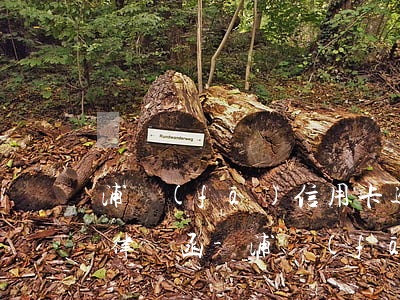 浦發(fā)信用卡逾期多久會發(fā)律師函-浦發(fā)信用卡逾期多久會發(fā)律師函呢