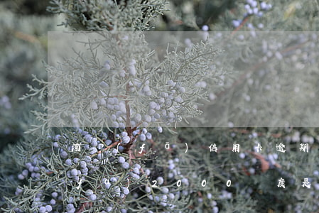 浦發(fā)信用卡逾期多久算黑戶(浦發(fā)2000額度是黑戶嗎)
