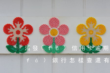 浦發(fā)信用卡逾期多久能查到(浦發(fā)銀行怎樣查還有多少期沒有還)