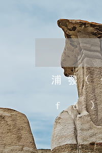 浦發(fā)信用卡逾期多久被催收(浦發(fā)信用卡逾期多久被催收)