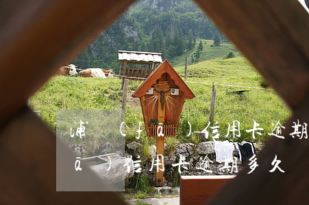 浦發(fā)信用卡逾期多久黑戶(浦發(fā)信用卡逾期多久會(huì)被起訴欠款七千多)