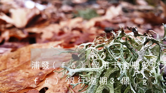 浦發(fā)信用卡逾期多少天起訴(浦發(fā)銀行逾期3個(gè)月要起訴我怎么辦)