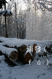 浦發(fā)信用卡逾期多少錢合法(浦發(fā)信用卡逾期多少錢合法)