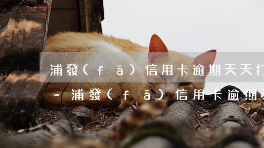 浦發(fā)信用卡逾期天天打電話給父母-浦發(fā)信用卡逾期天天打電話給父母怎么辦