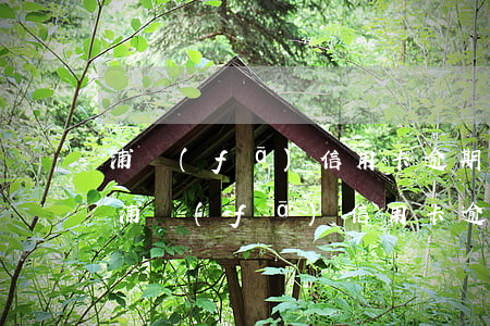 浦發(fā)信用卡逾期好幾個(gè)月(浦發(fā)信用卡逾期3天會(huì)影響個(gè)人信用嗎)