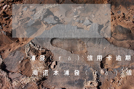 浦發(fā)信用卡逾期如何協(xié)商還本(浦發(fā)信用卡逾期如何協(xié)商還本金電話(huà))