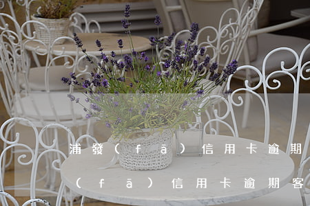 浦發(fā)信用卡逾期客服讓我錄音(浦發(fā)信用卡逾期客服讓我錄音怎么辦)