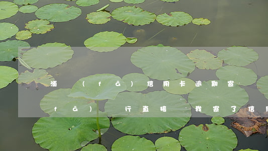 浦發(fā)信用卡逾期寄順豐到付(浦發(fā)銀行直接給我寄了信用卡)