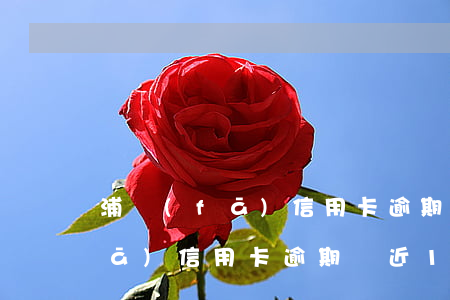 浦發(fā)信用卡逾期將近1月(浦發(fā)信用卡逾期將近1月怎么辦)